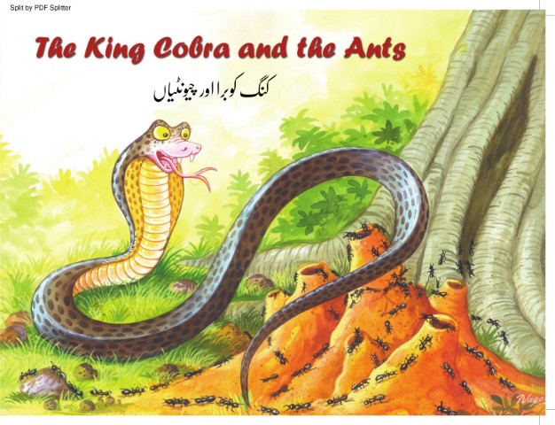The King Cobra and the Ants
